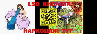 Альфа ПВП Новодвинск
